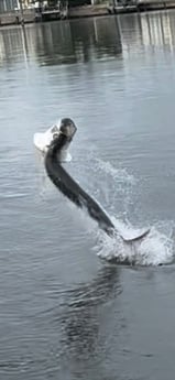 Fishing in New Smyrna Beach, Florida