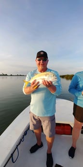 Jack Crevalle fishing in St. Augustine, Florida