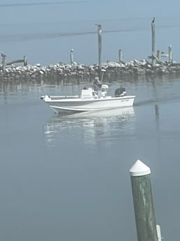 Fishing in Gulf Shores, Alabama