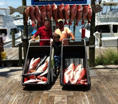 Mangrove Snapper, Red Snapper Fishing in Orange Beach, Alabama