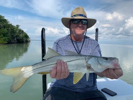 Snook Fishing in Key Largo, Florida