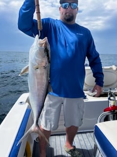 Amberjack Fishing in Destin, Florida