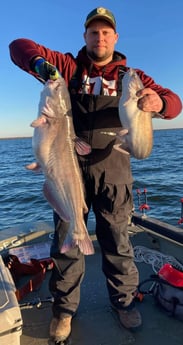 Blue Catfish fishing in Dallas, Texas