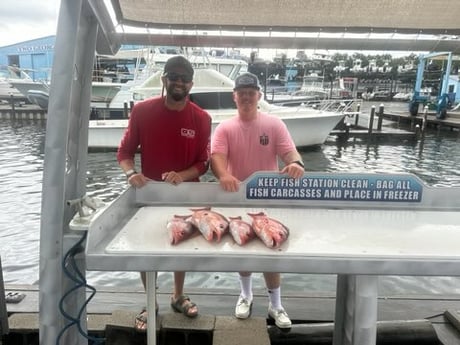 Red Snapper Fishing in Destin, Florida