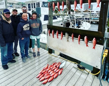 Amberjack, Gag Grouper, Vermillion Snapper Fishing in Destin, Florida