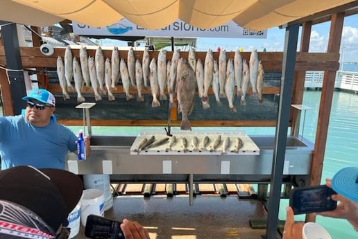 Black Drum, Speckled Trout / Spotted Seatrout fishing in Port Isabel, Texas