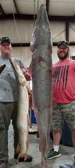 Alligator Gar fishing in Livingston, Texas