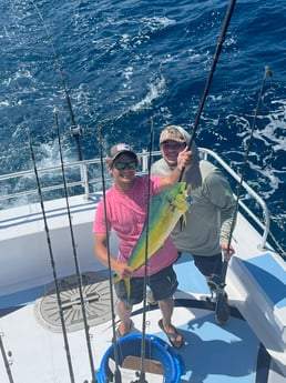 Mahi Mahi Fishing in Orange Beach, Alabama