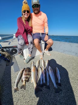 Redfish, Sheepshead, Speckled Trout / Spotted Seatrout Fishing in Galveston, Texas