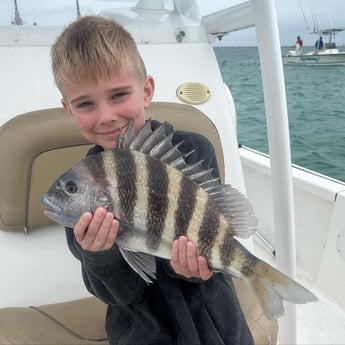 Sheepshead fishing in Panama City, Florida