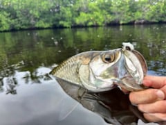 Fishing in Miami, Florida