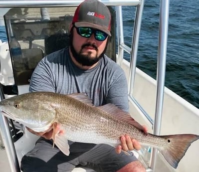 Redfish fishing in Panama City, Florida