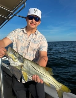 Fishing in Sarasota, Florida