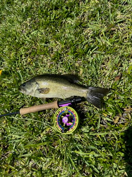 Fishing in Jupiter, Florida