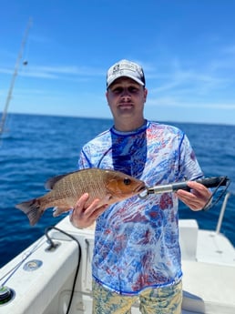 Fishing in Pensacola, Florida