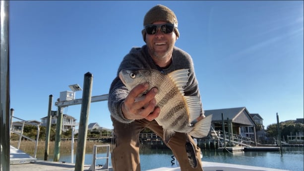 Sheepshead fishing in Wrightsville Beach, North Carolina