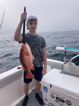 Red Snapper Fishing in Orange Beach, Alabama