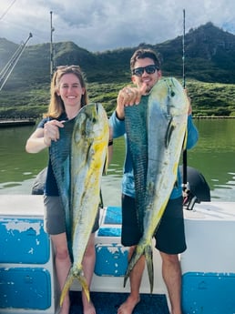 Mahi Mahi Fishing in Kapaʻa, Hawaii