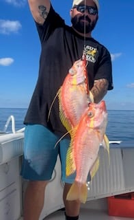Hogfish Fishing in Destin, Florida