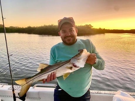 Snook Fishing in Sarasota, Florida