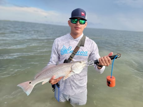 Redfish Fishing in South Padre Island, Texas