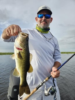 Largemouth Bass Fishing in Fort Lauderdale, Florida