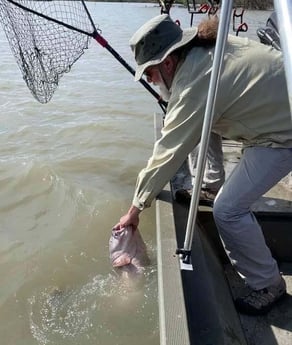 Blue Catfish fishing in Dallas, Texas