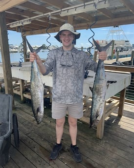 King Mackerel / Kingfish Fishing in Orange Beach, Alabama