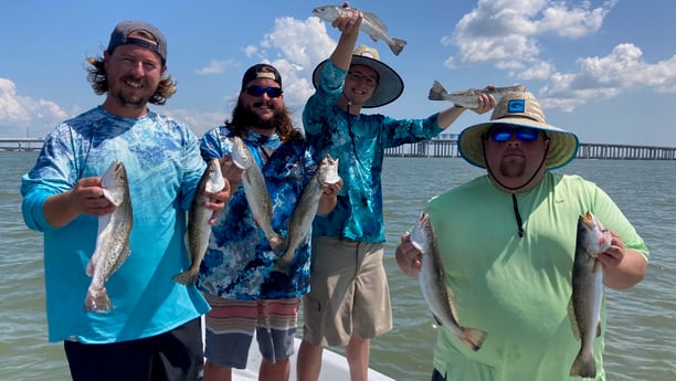 Speckled Trout / Spotted Seatrout fishing in Galveston, Texas