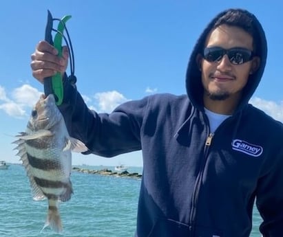 Sheepshead fishing in Texas City, Texas