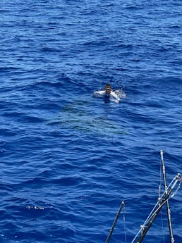 Fishing in Kona, Hawaii