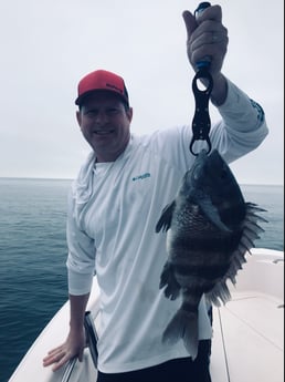 Sheepshead Fishing in Galveston, Texas