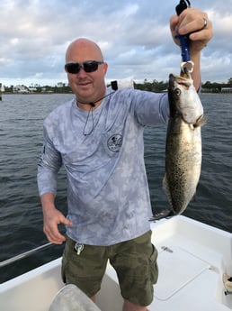 Speckled Trout / Spotted Seatrout fishing in Orange Beach, Alabama