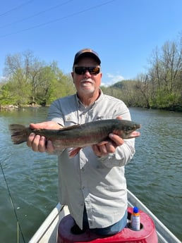 Brown Trout fishing in Leicester, North Carolina