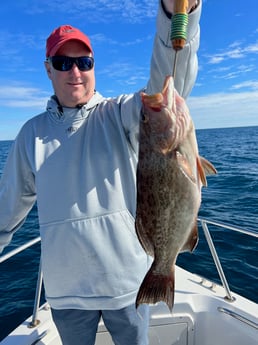 Scamp Grouper Fishing in Destin, Florida