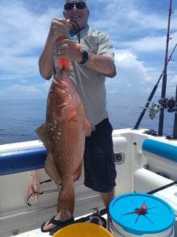 Red Grouper fishing in Clearwater, Florida