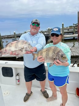 Sheepshead Fishing in Gulf Shores, Alabama