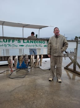 Black Drum, Sheepshead, Speckled Trout / Spotted Seatrout fishing in Corpus Christi, Texas