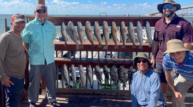 Black Drum, Redfish, Sheepshead, Speckled Trout / Spotted Seatrout Fishing in Corpus Christi, Texas