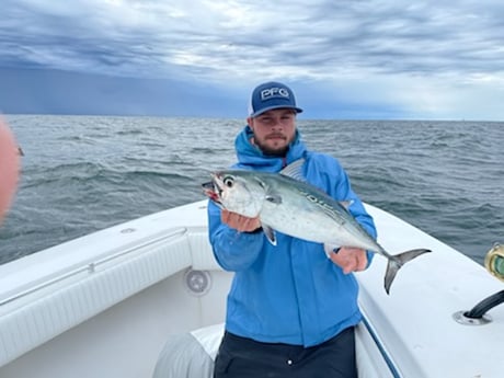 King Mackerel / Kingfish fishing in Venice, Louisiana