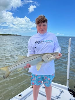 Snook fishing in Tavernier, Florida