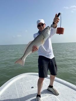 Speckled Trout / Spotted Seatrout fishing in Port Isabel, Texas