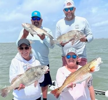 Black Drum, Redfish fishing in Port Aransas, Texas