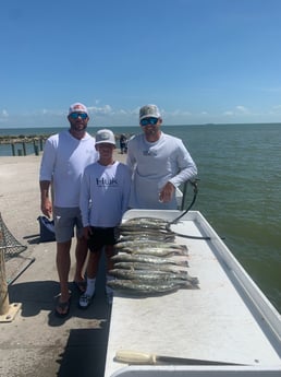 Speckled Trout / Spotted Seatrout fishing in Galveston, Texas