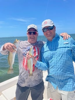 Speckled Trout / Spotted Seatrout fishing in Sarasota, Florida