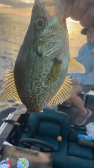 Fishing in Clewiston, Florida