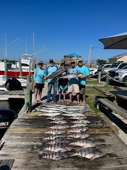 Kingfish, Sheepshead Fishing in Hatteras, North Carolina