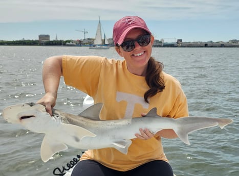 Bonnethead Shark Fishing in Mount Pleasant, South Carolina