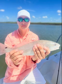 Black Drum fishing in Mount Pleasant, South Carolina