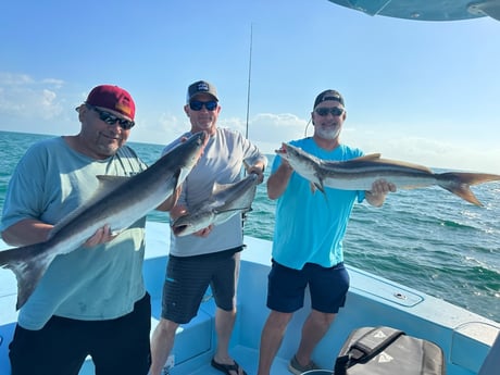 Cobia Fishing in Key West, Florida